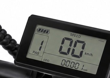 LELEKA L20 — display and battery